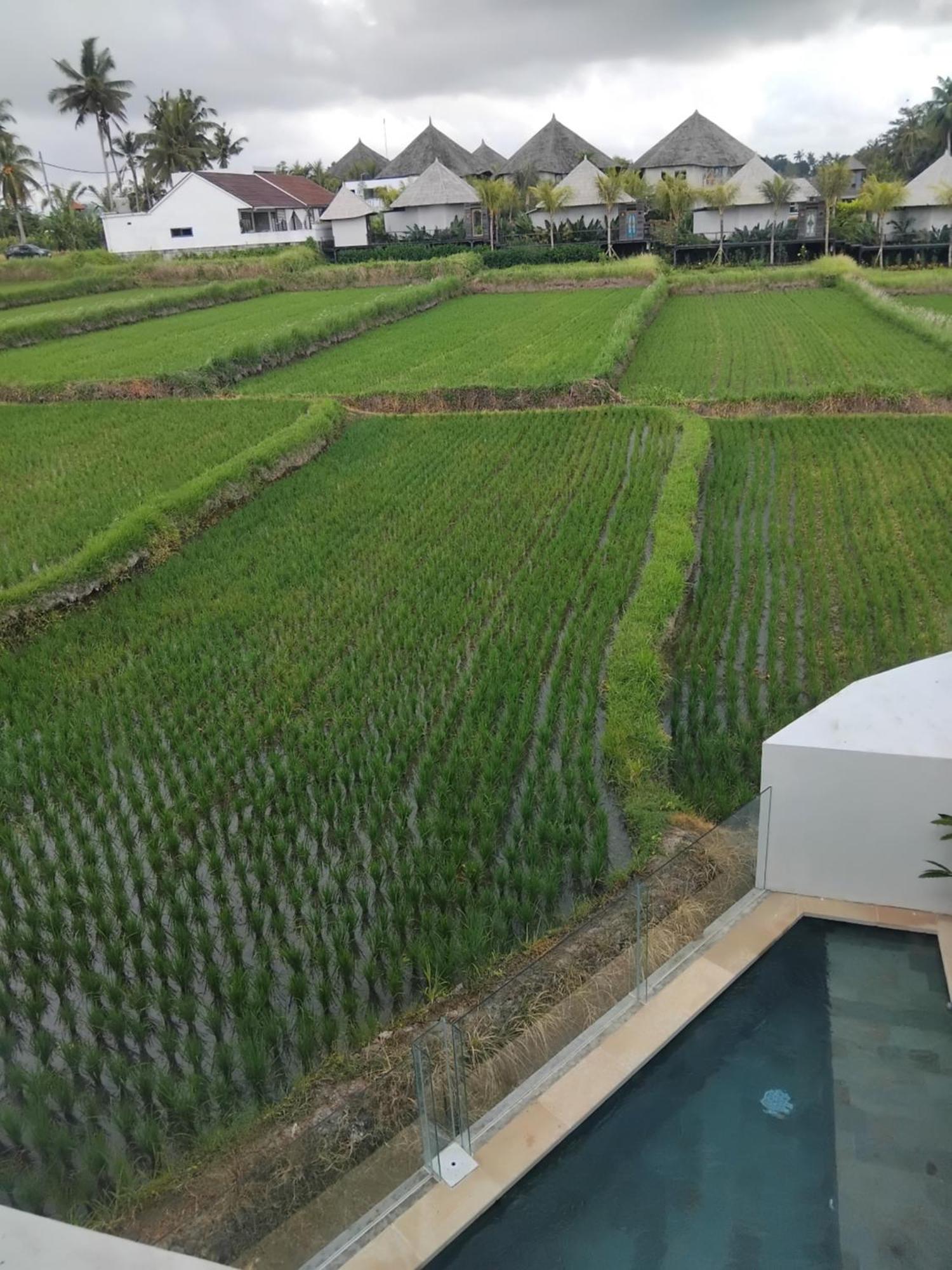 Sujiwa Ubud Hotel & Villa Екстер'єр фото