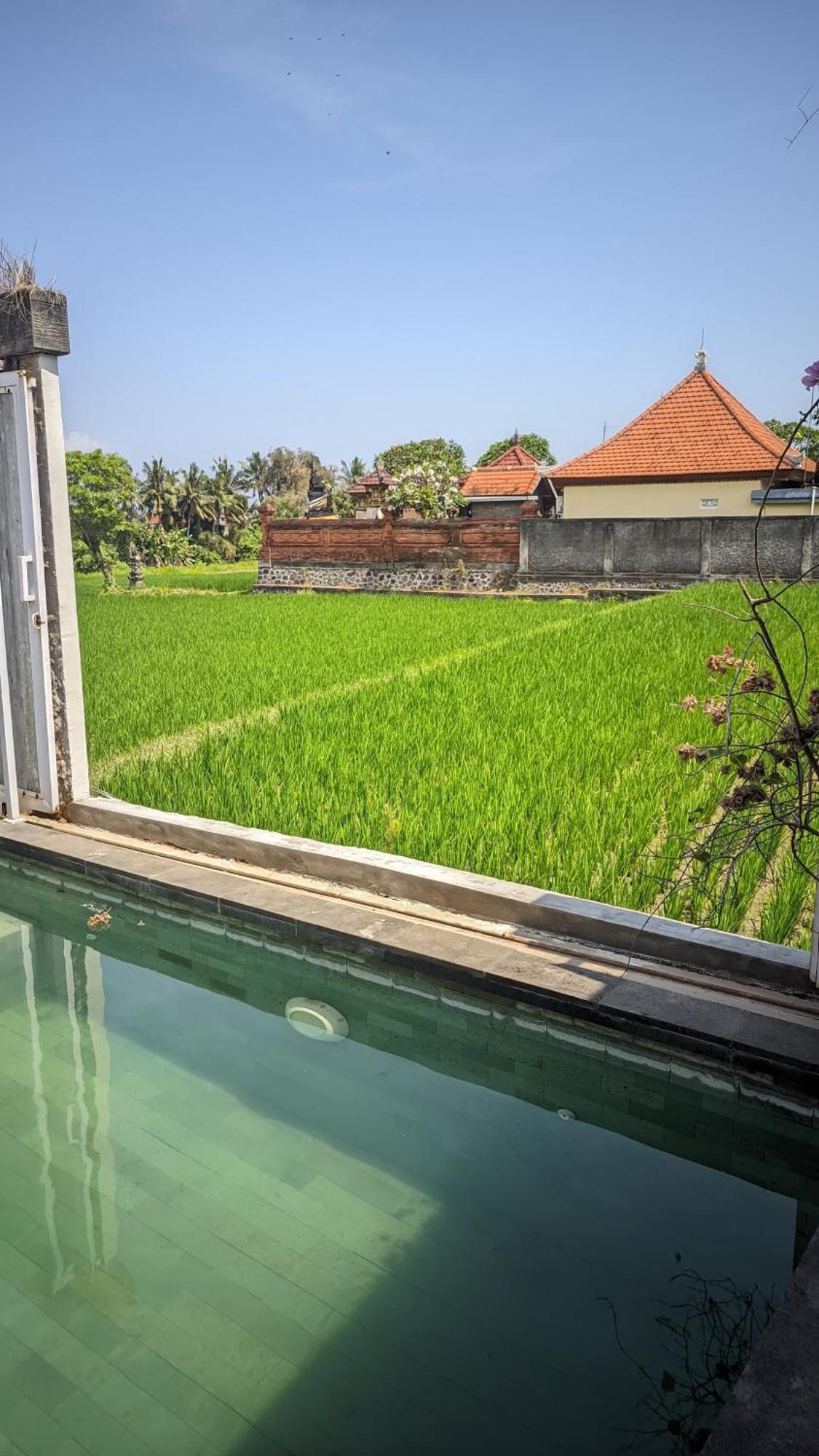 Sujiwa Ubud Hotel & Villa Екстер'єр фото