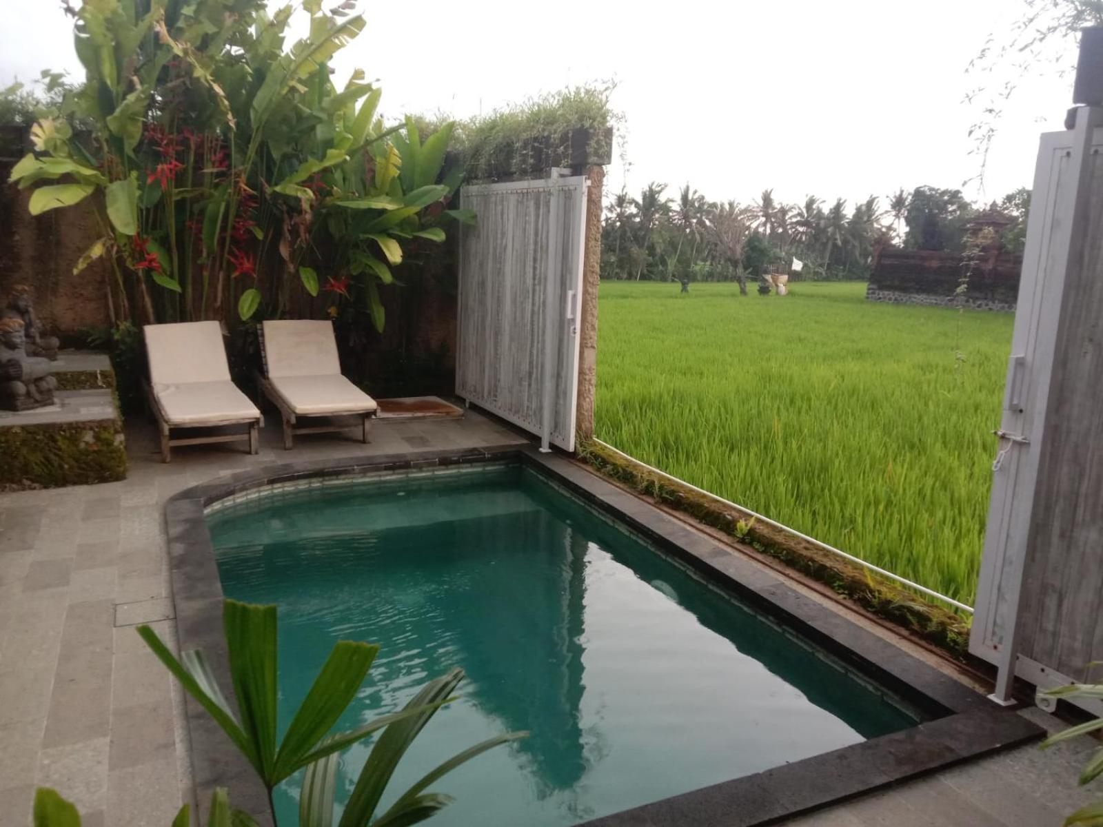 Sujiwa Ubud Hotel & Villa Екстер'єр фото